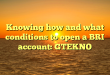 Knowing how and what conditions to open a BRI account: GTEKNO