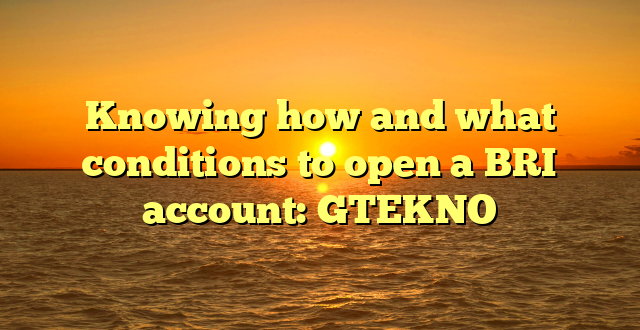 Knowing how and what conditions to open a BRI account: GTEKNO