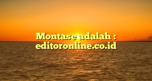 Montase adalah : editoronline.co.id