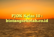 PJOK Kelas 10 : bintangsekolah.co.id